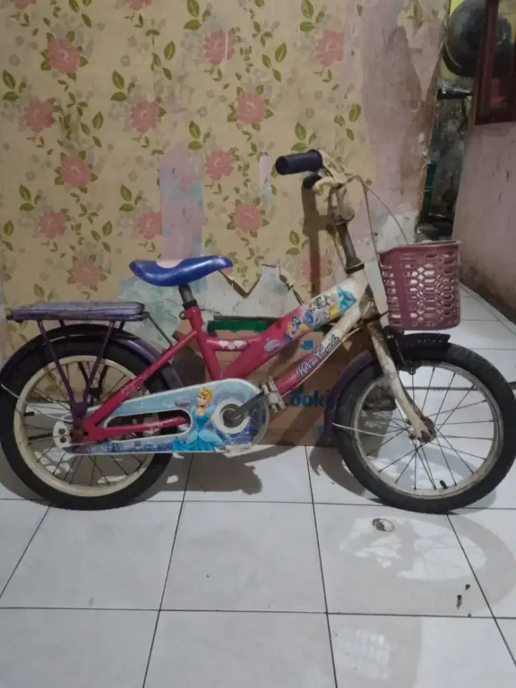 Sepeda Anak roda dua