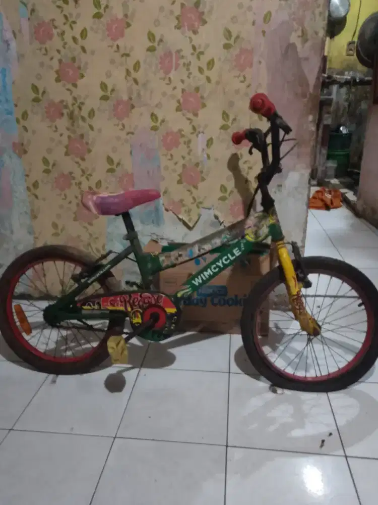 Sepeda anak roda dua