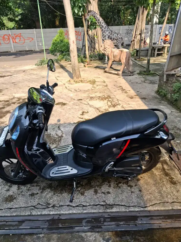 Scoopy 2021 solo