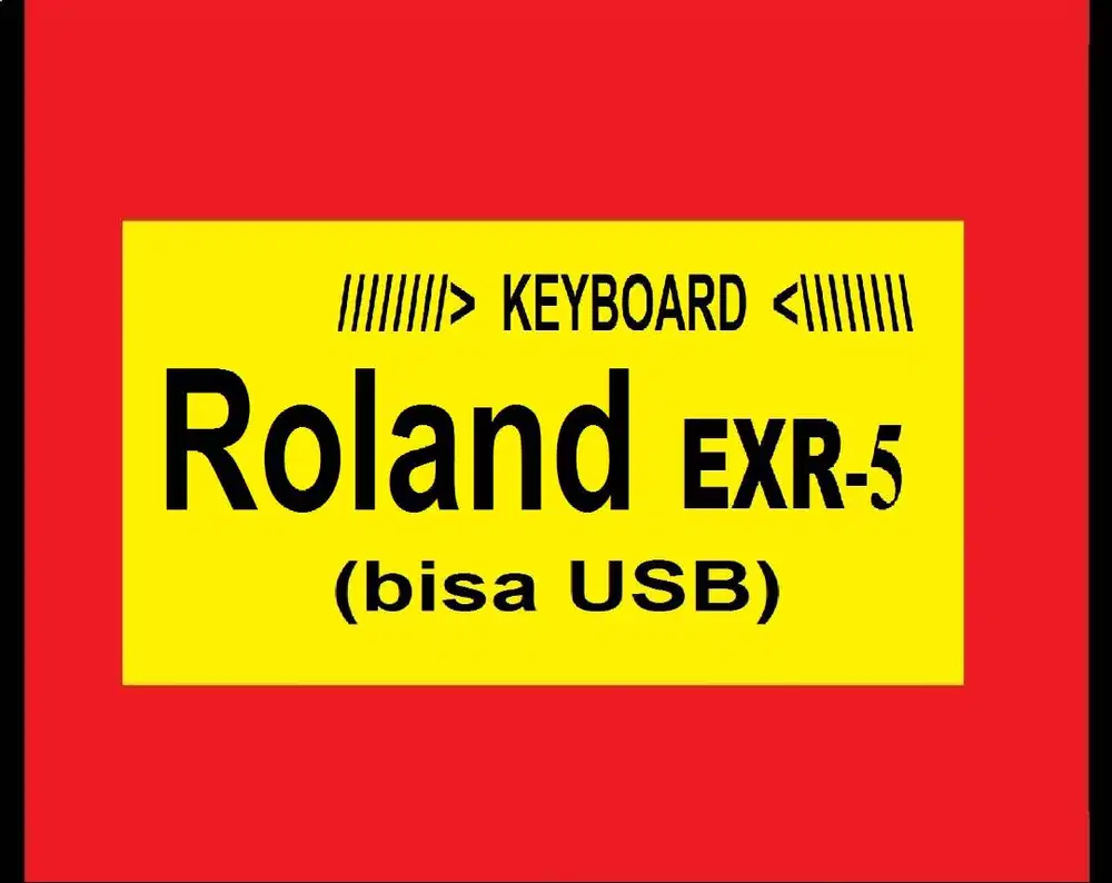 Roland EXR-5 (+usb)