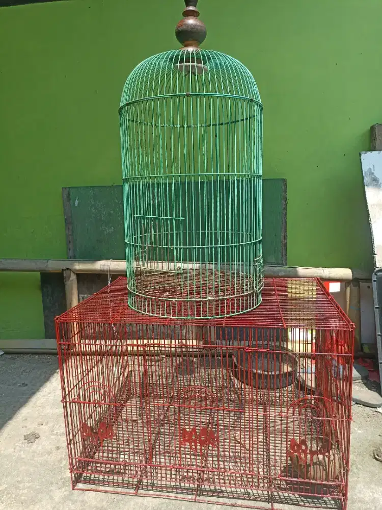 Kandang besi lovebird dan kotak