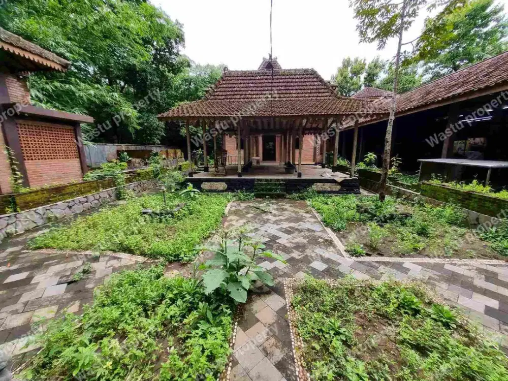 JUAL RUGI RUMAH JOGLO HARGA LELANG DI MINGGIR SLEMAN