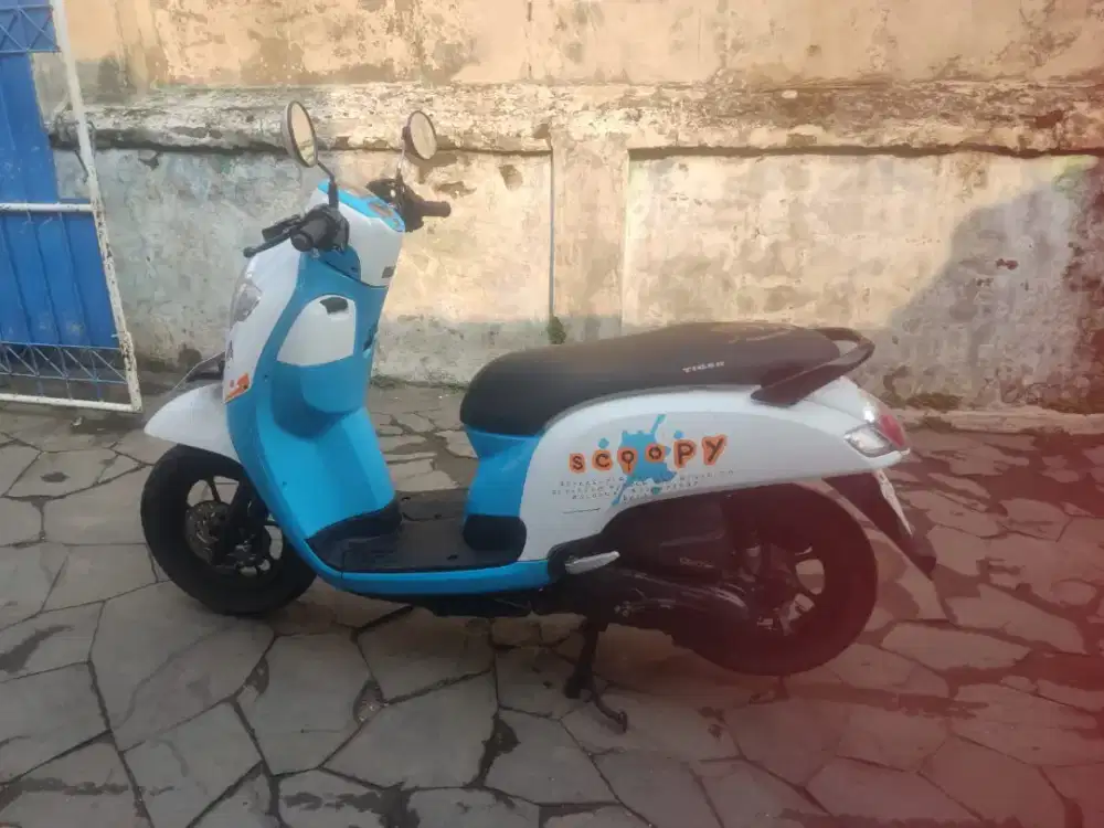Honda scoopy 2017