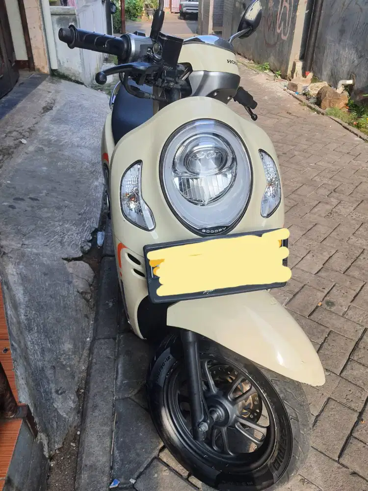 Scoopy 2021 Antik
