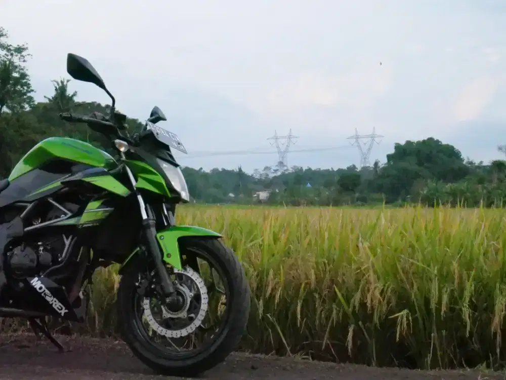 KAWASAKI BR 250 F