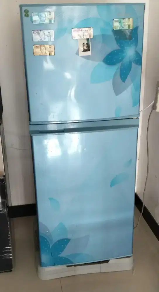 Kulkas sharp 2 pintu dingin