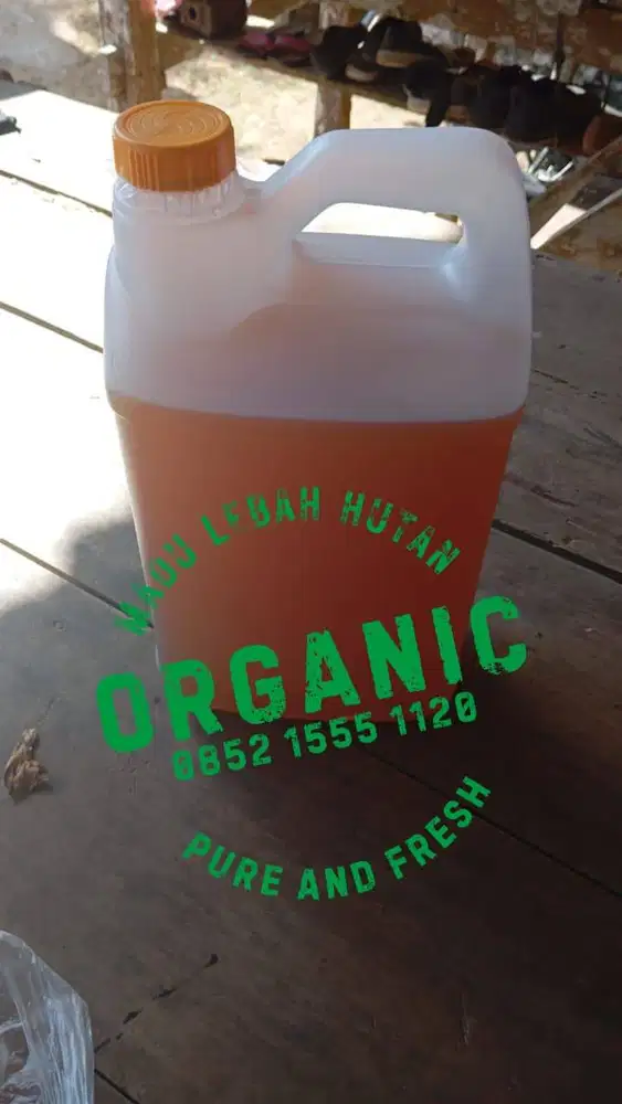 Madu Lebah Hutan Liar Asli, Manis, Murni