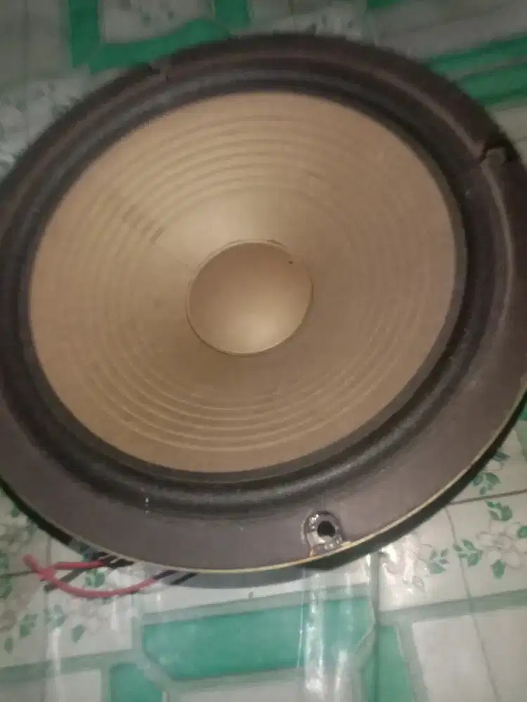 Speaker 10 inch