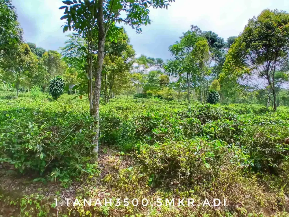 Dijual tanah luas rata padat pinggir jalan strategis view gunung dekat kota