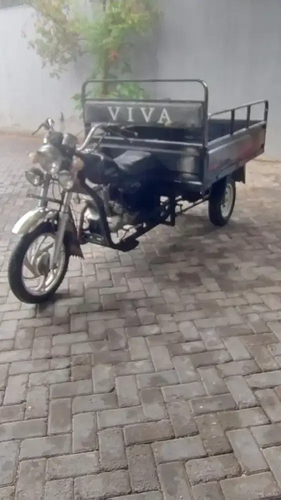 Motor bak roda 3 Viva 150CC