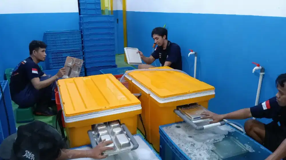 Lowongan pekerjaan mencuci ompreng