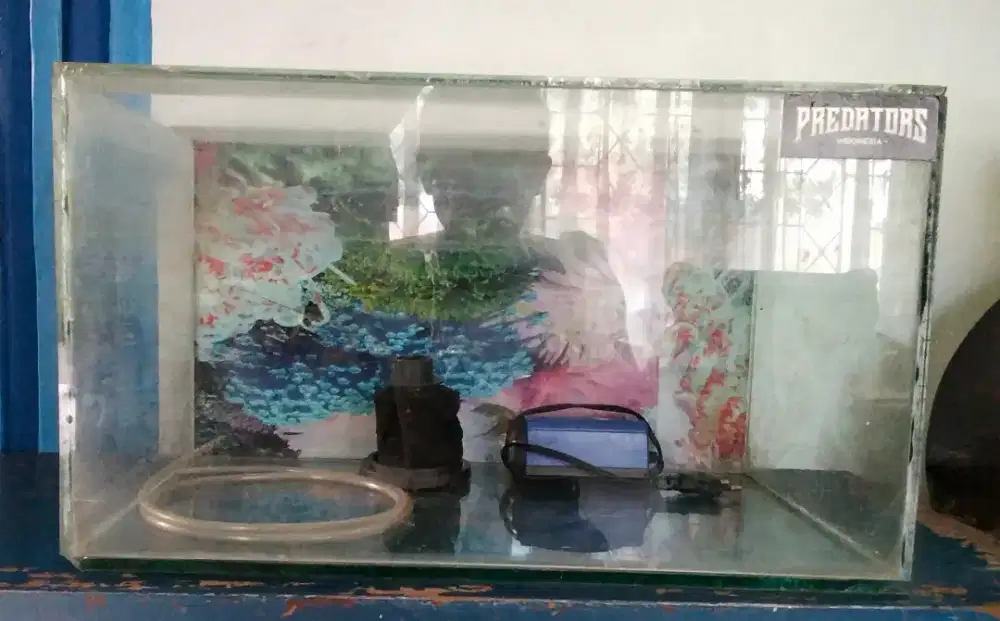 Ikan aquarium fullset