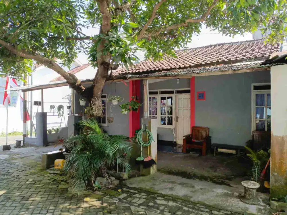 Luas hampir 100, di pusat kota Jember
