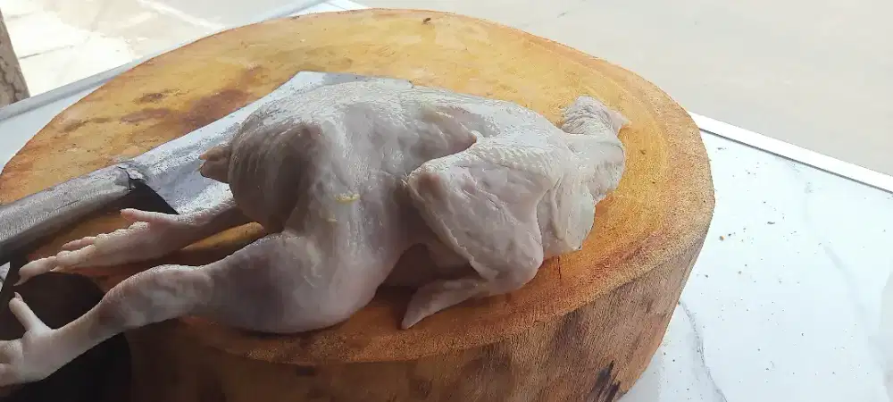 lowongan jaga toko ayam potong