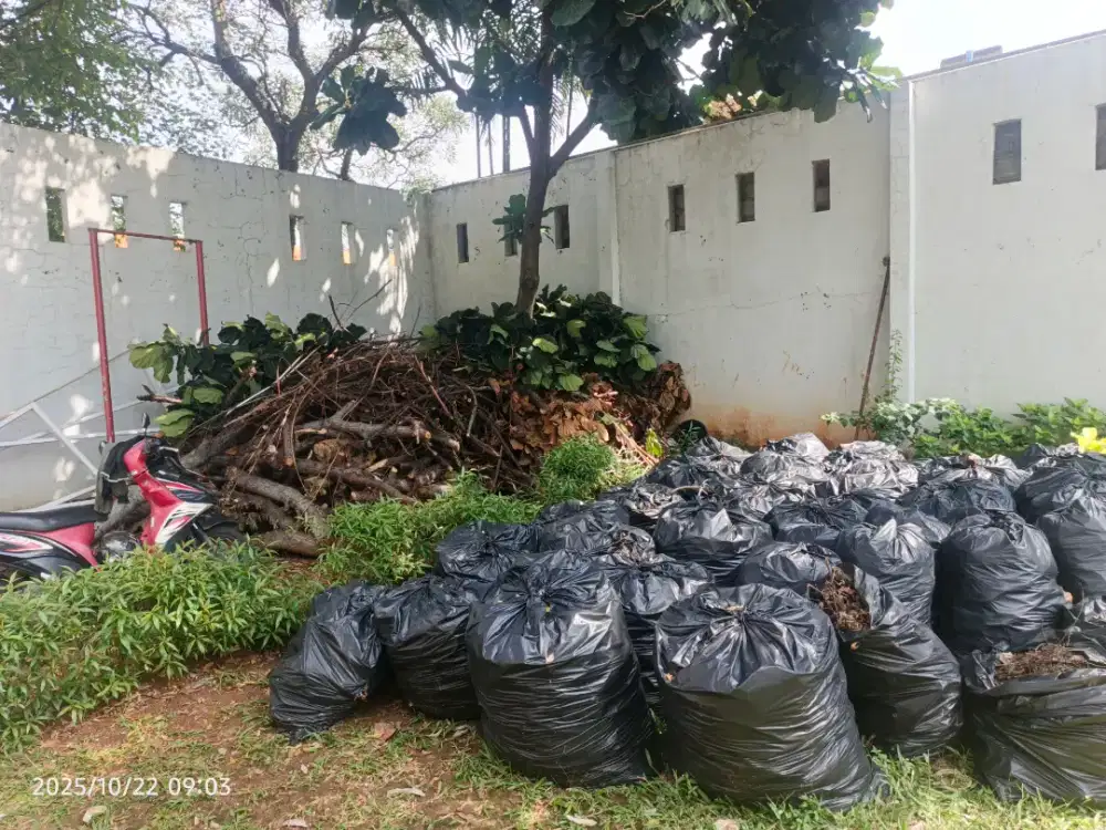 Kayu pangkas gratis
