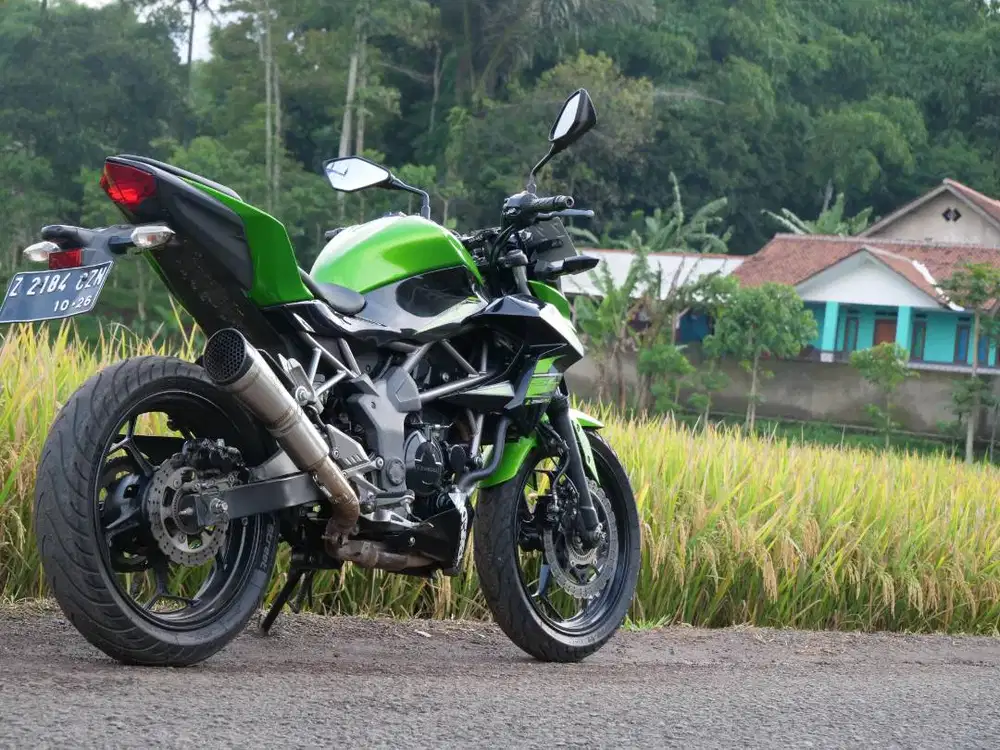 Motor Ninja 250 Tahun 2014 Muluss