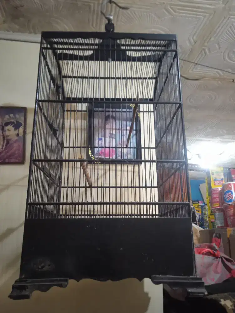 KK kosan 40x40  sangat layak