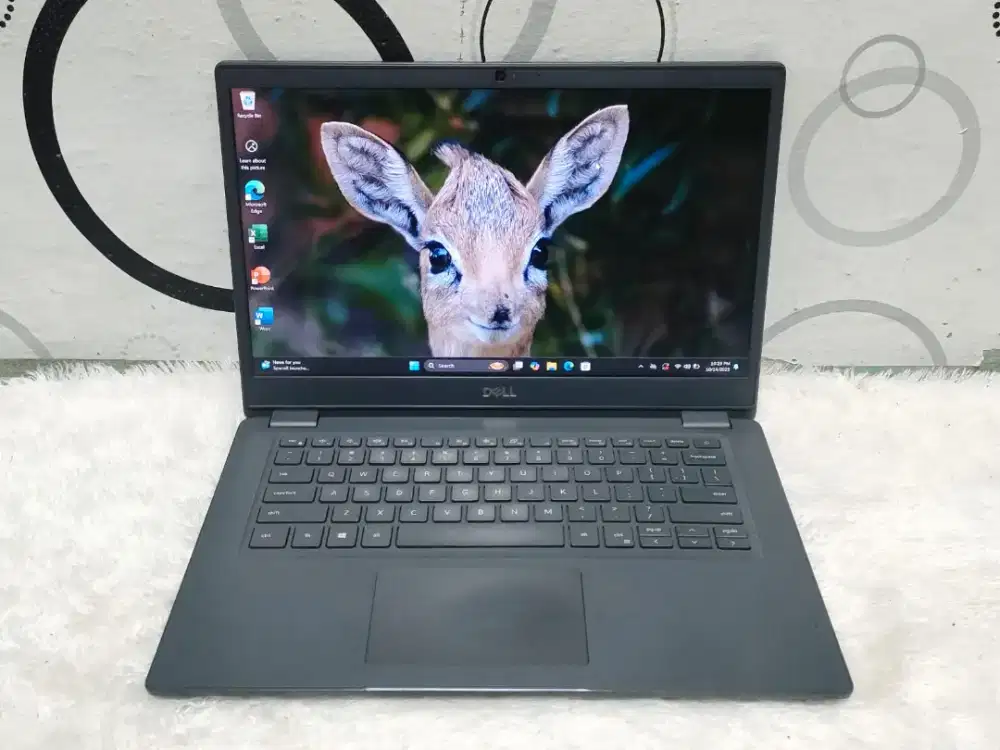 Dell Latitude 3410