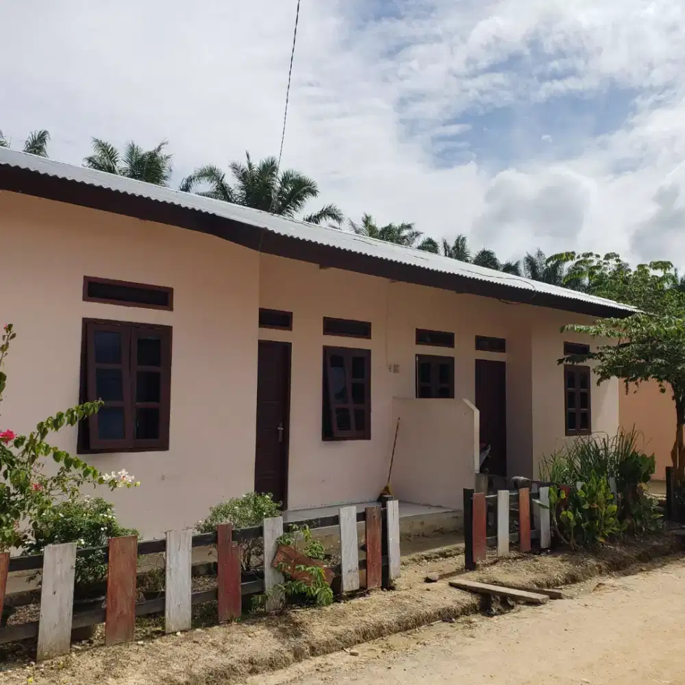 Lowongan Perkebunan Kelapa Sawit Kalimantan