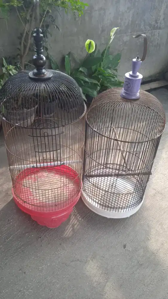 Sangkar love bird bekas