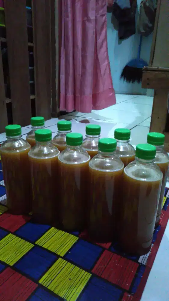 Madu asli dari hutan