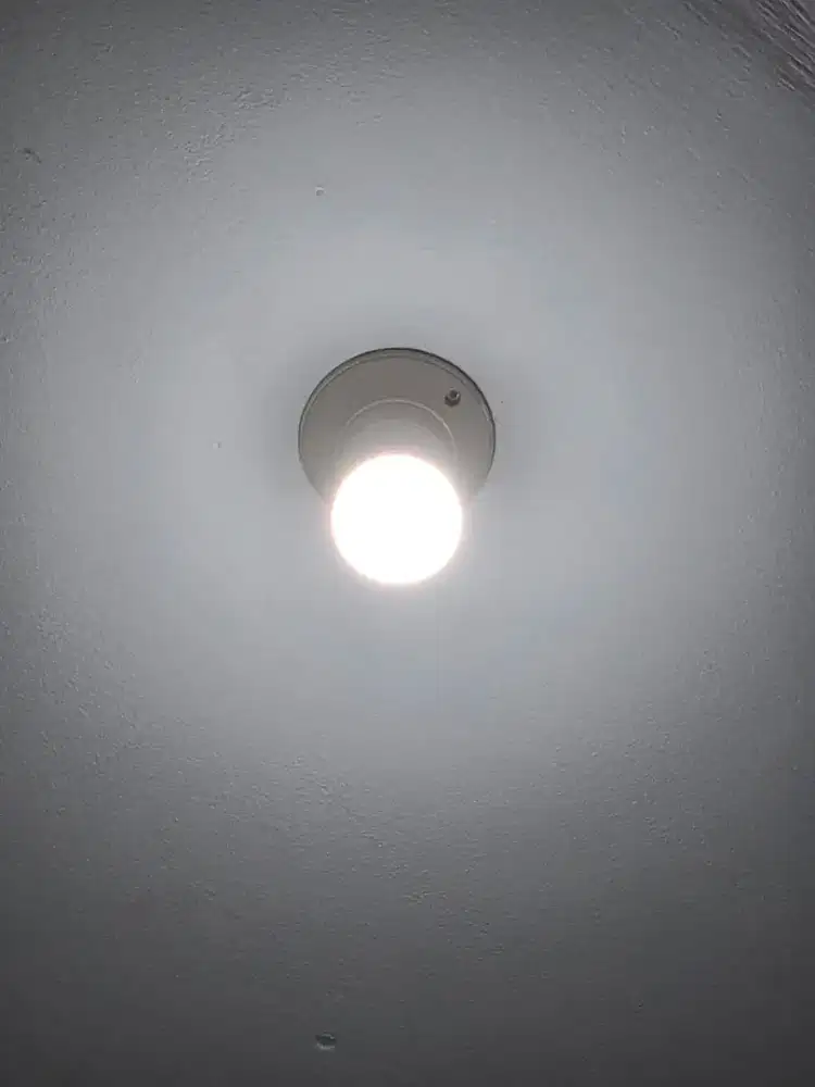 Di Cari Art (Butuh Cepat)