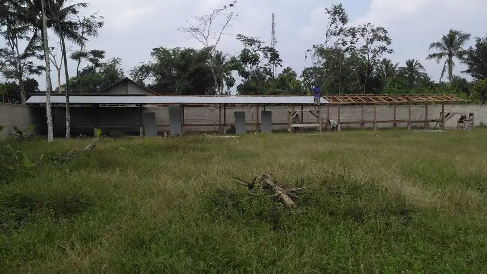 Tempat Usaha Penggemukan Sapi dan Kambing