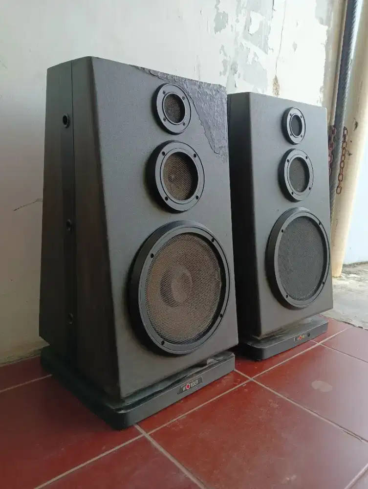 Speaker 10 inch wonder