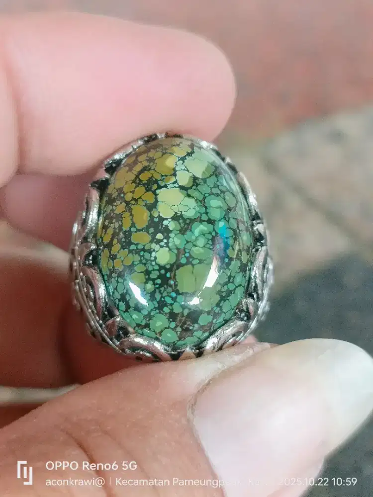 Pirus hubai multi colour
