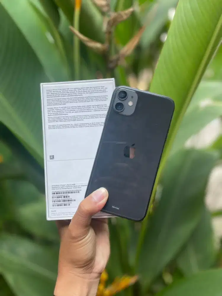 Iphone 11 64 gb Resmi Ibox
