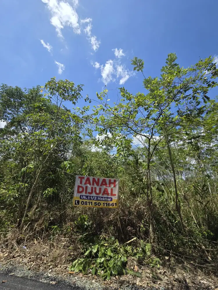 Dijual Cepat Tanah Kebun Bati Bati, Bentok Kampung, Tanah Laut