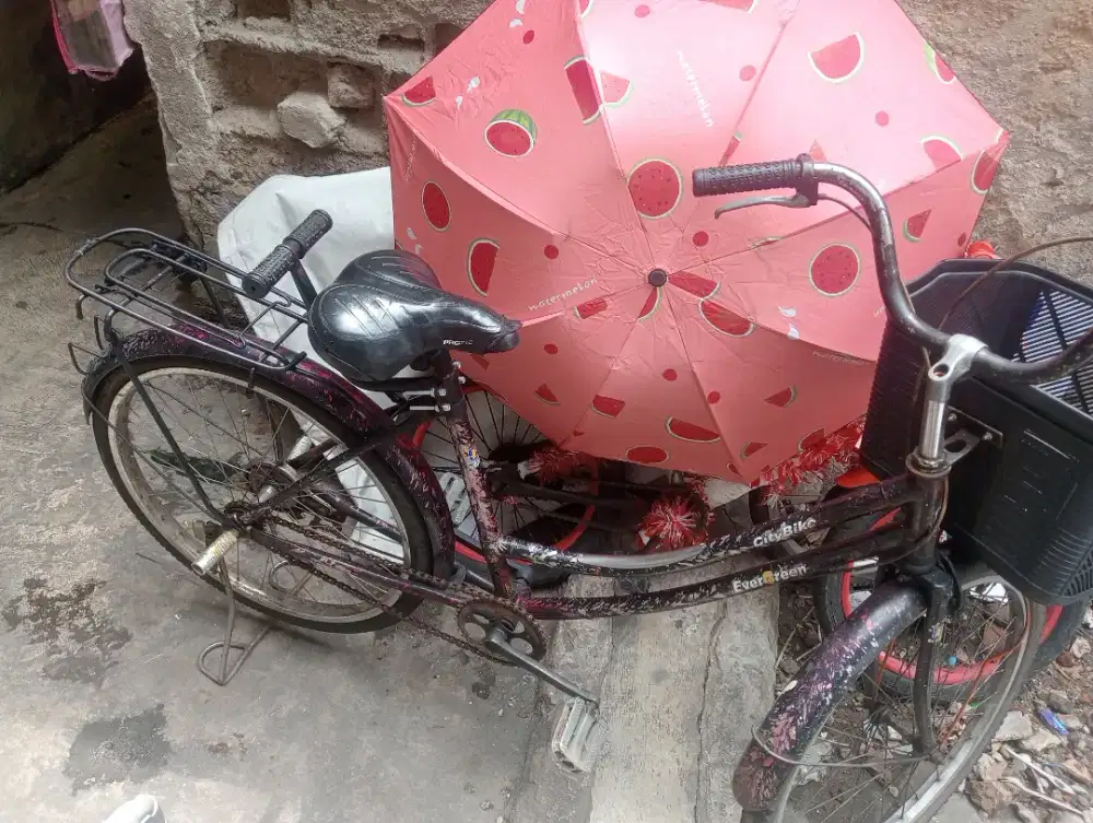 sepeda mini keranjang uk 24 inch