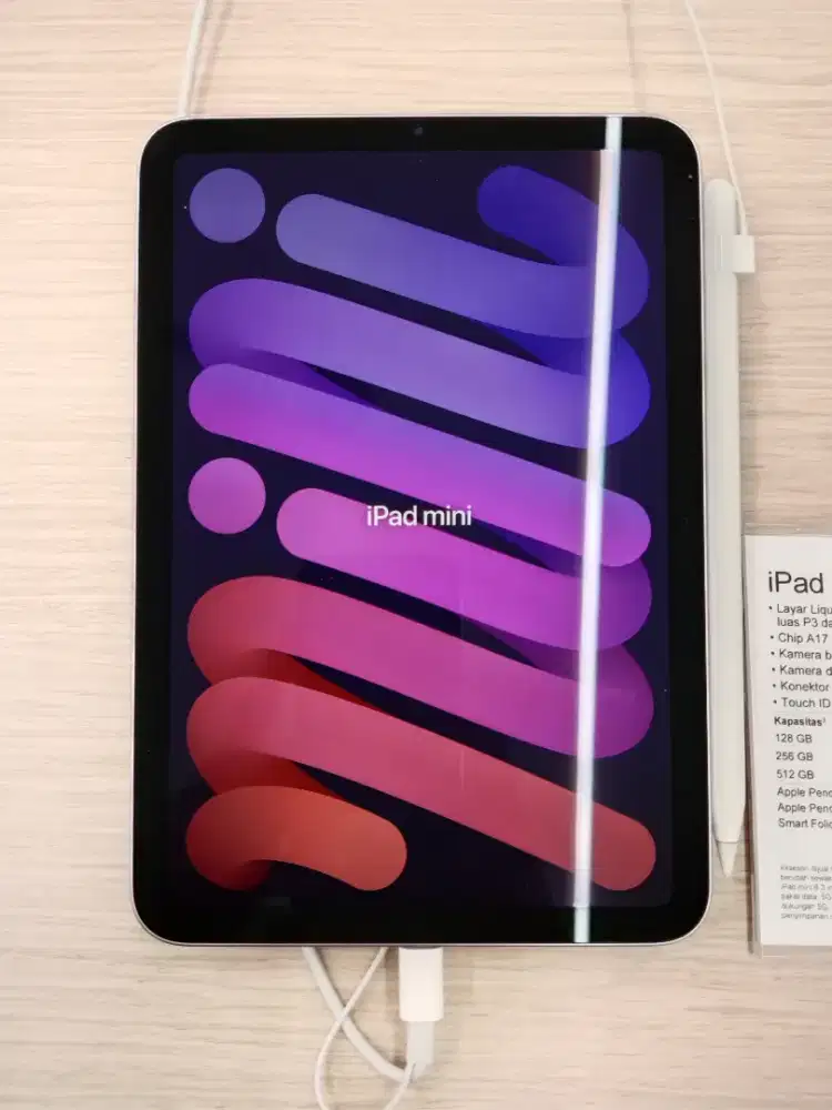 iPad Mini wifi + celluler
