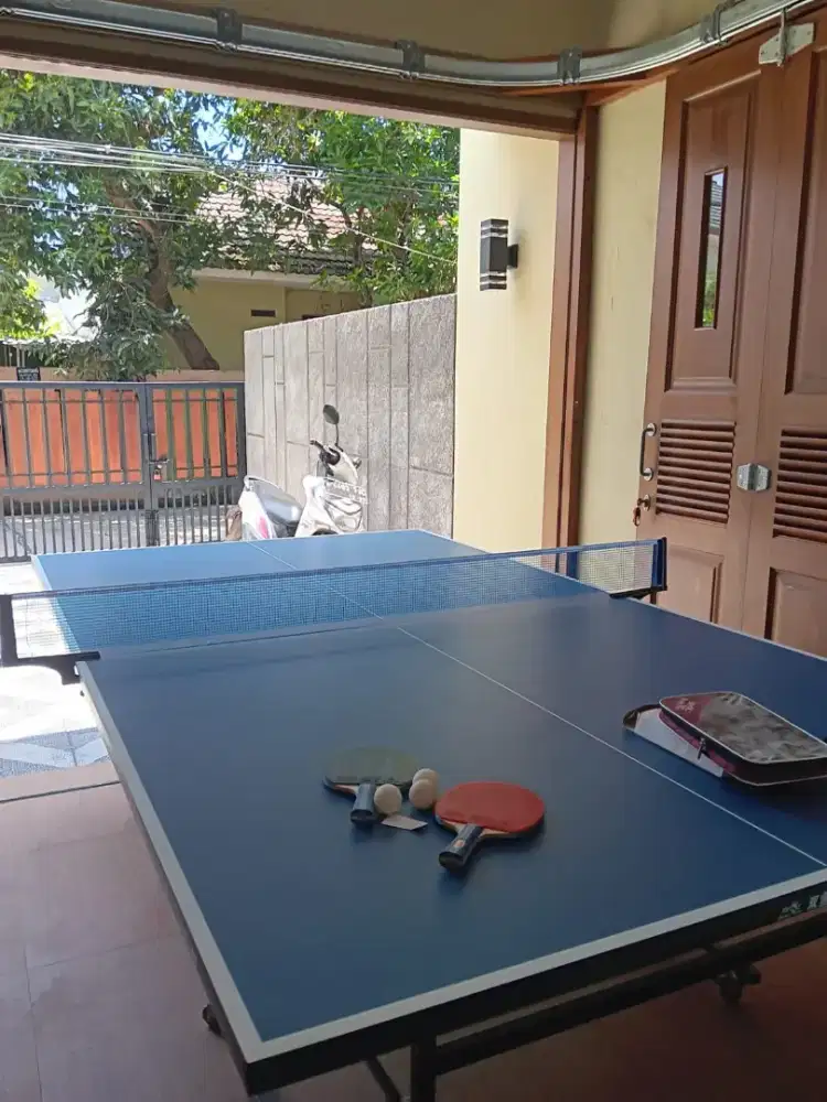 Meja Tennis Double Fish 01-201d