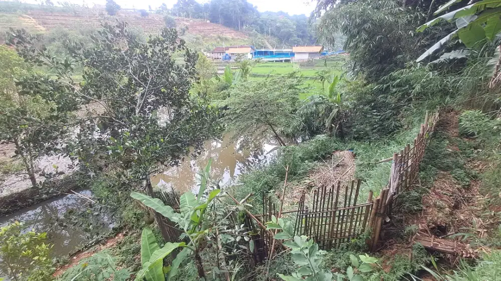 DI JUAL CEPAT TANAH/KOLAM PRIBADI ( LELANG )