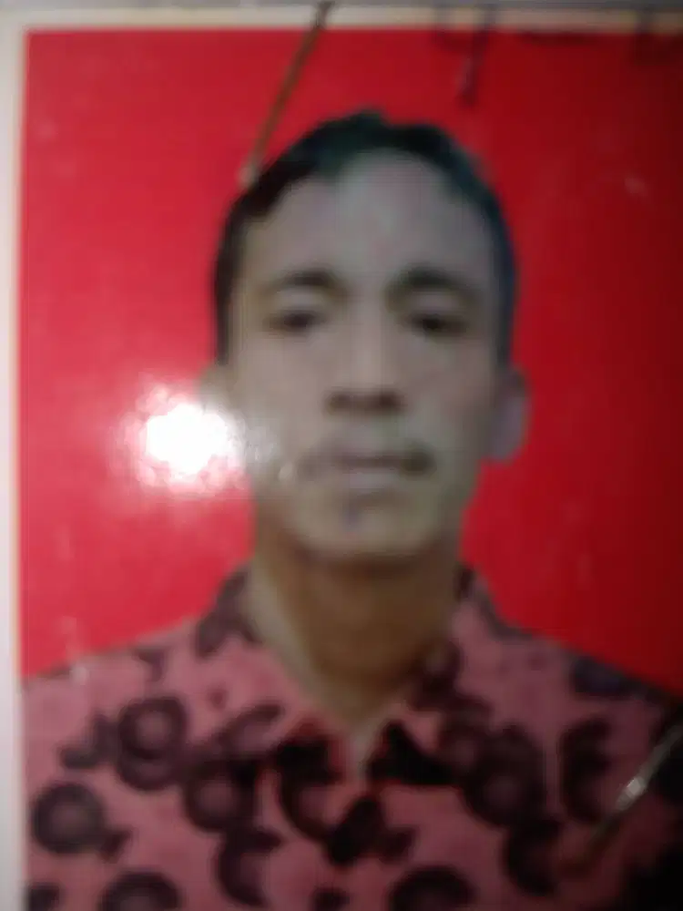 Supir pribadi berpengalaman
