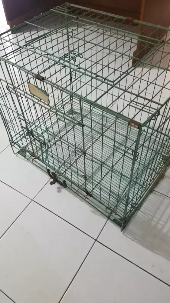 Kandang Besi 60 x 45 cm Hijau Muda