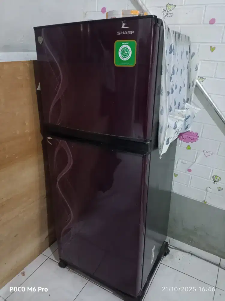 kulkas sharp 2 pintu