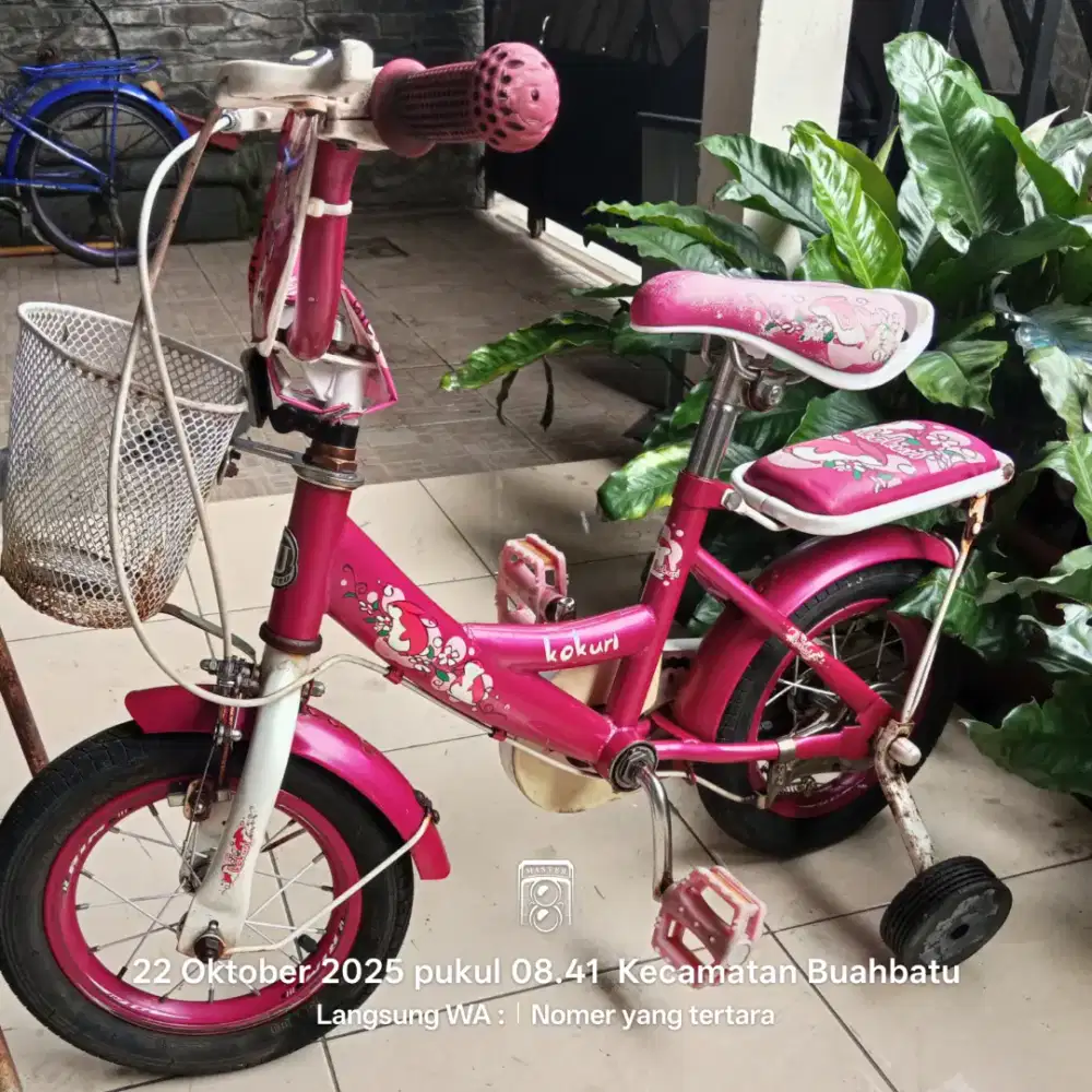 Sepeda Anak United Kokuri 12 inch