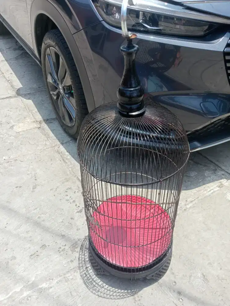 For sale kandang kapsul love bird bekas  pintu tengah