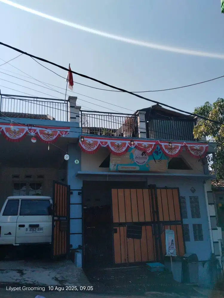 Groomer anjing dan kucing pengalaman