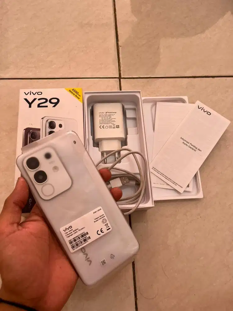 Hanphone vivo Y29