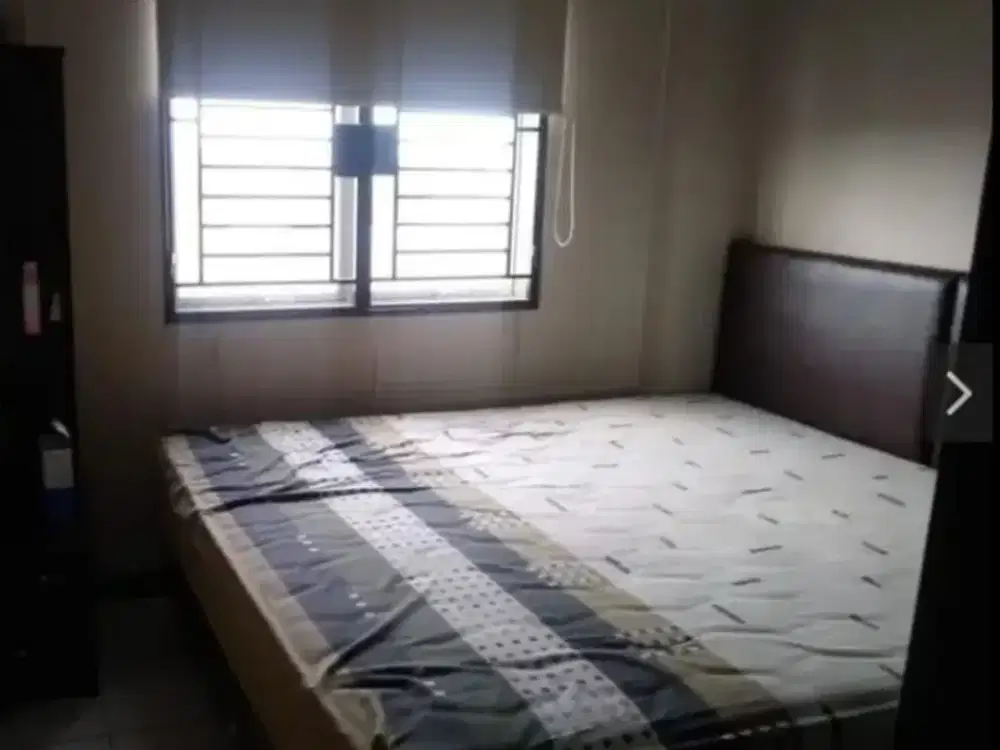 Apartment Palm Mansion (2 BR)