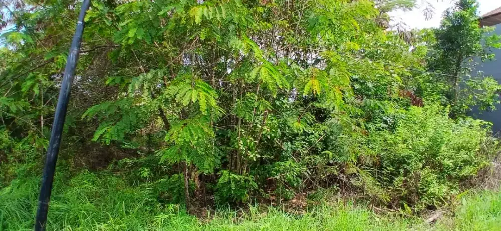 DIJUAL CEPAT BU TANAH LUAS 208m SHM PUCANGAN KERTASURA