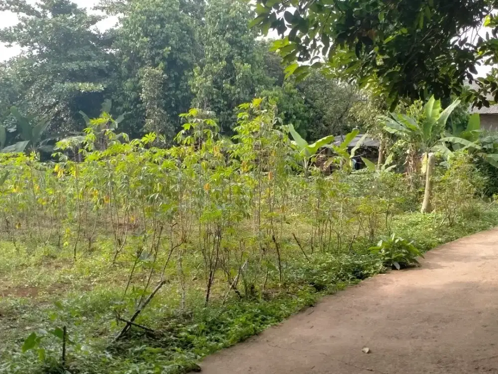 Tanah Murah Setu Bekasi - 10 Menit Tol Burangkeng