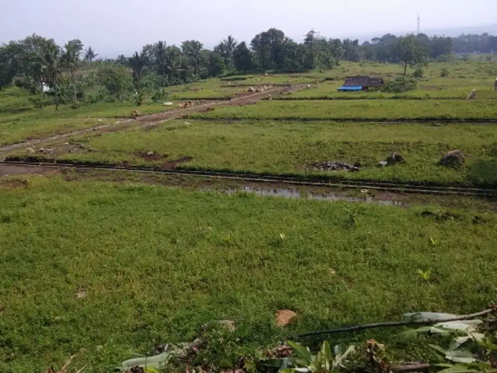 JUAL TANAH COCOK UNTUK PERUMAHAN