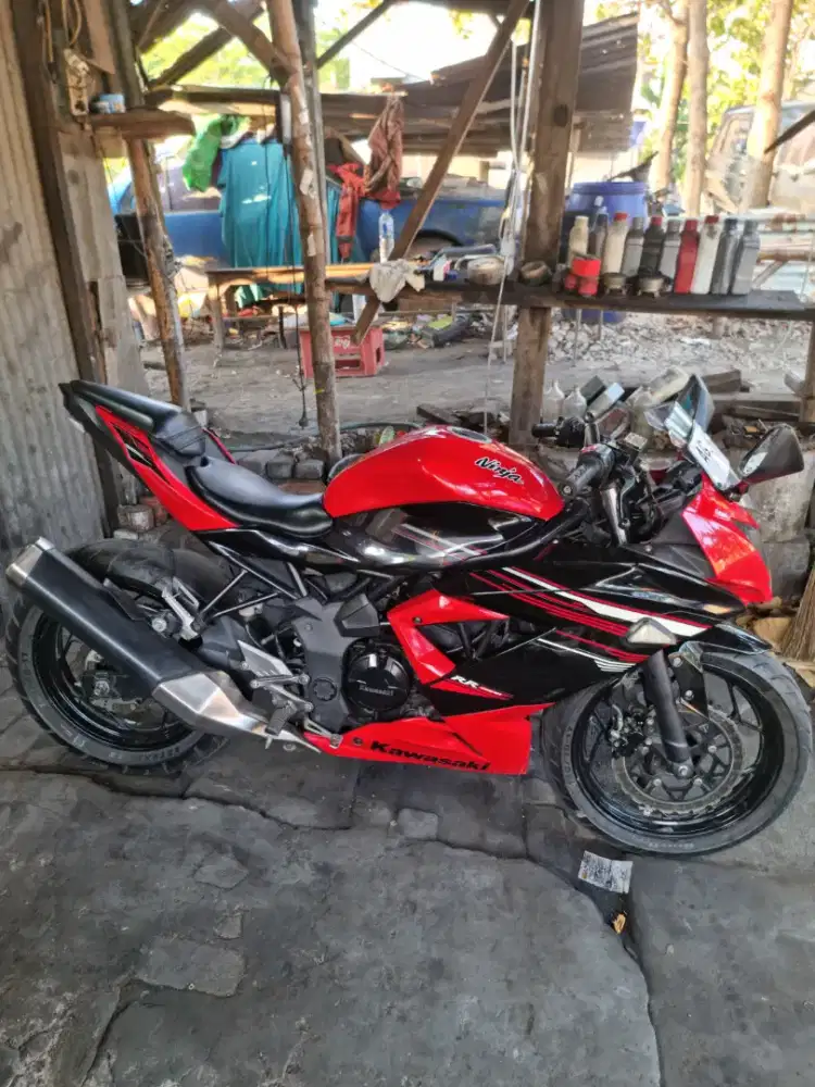 Ninja 250 RR Mono