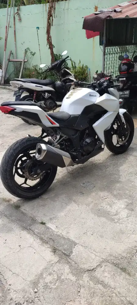 Kawasaki Ninja Z250 (2013) Naked bike