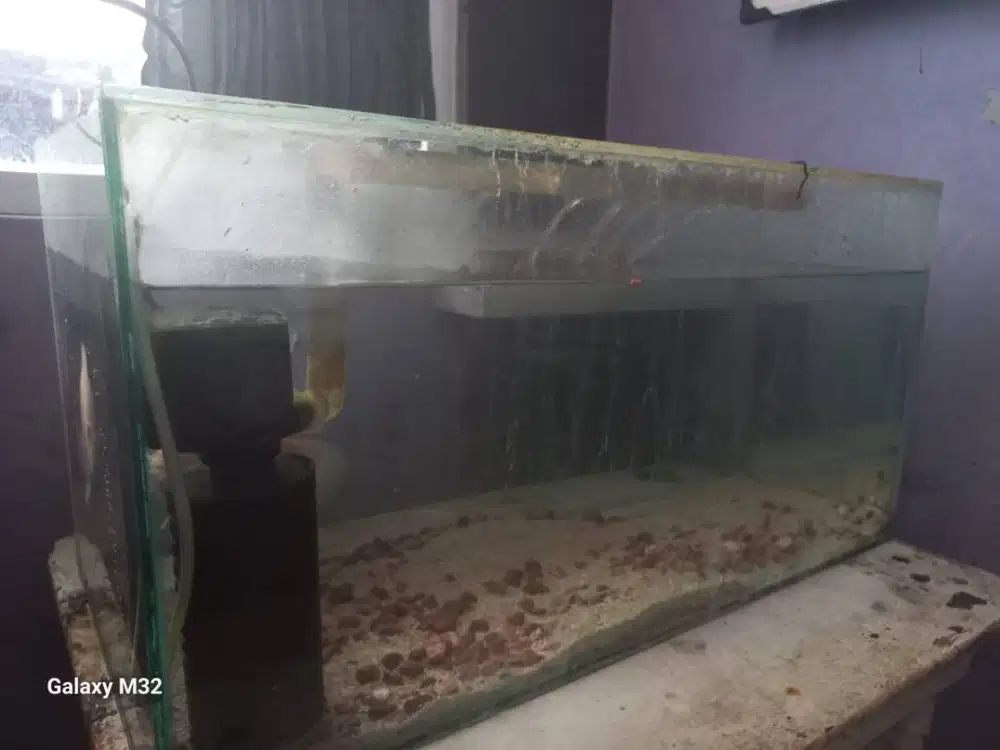 Aquarium 60x30x30 full set ikan Oscar