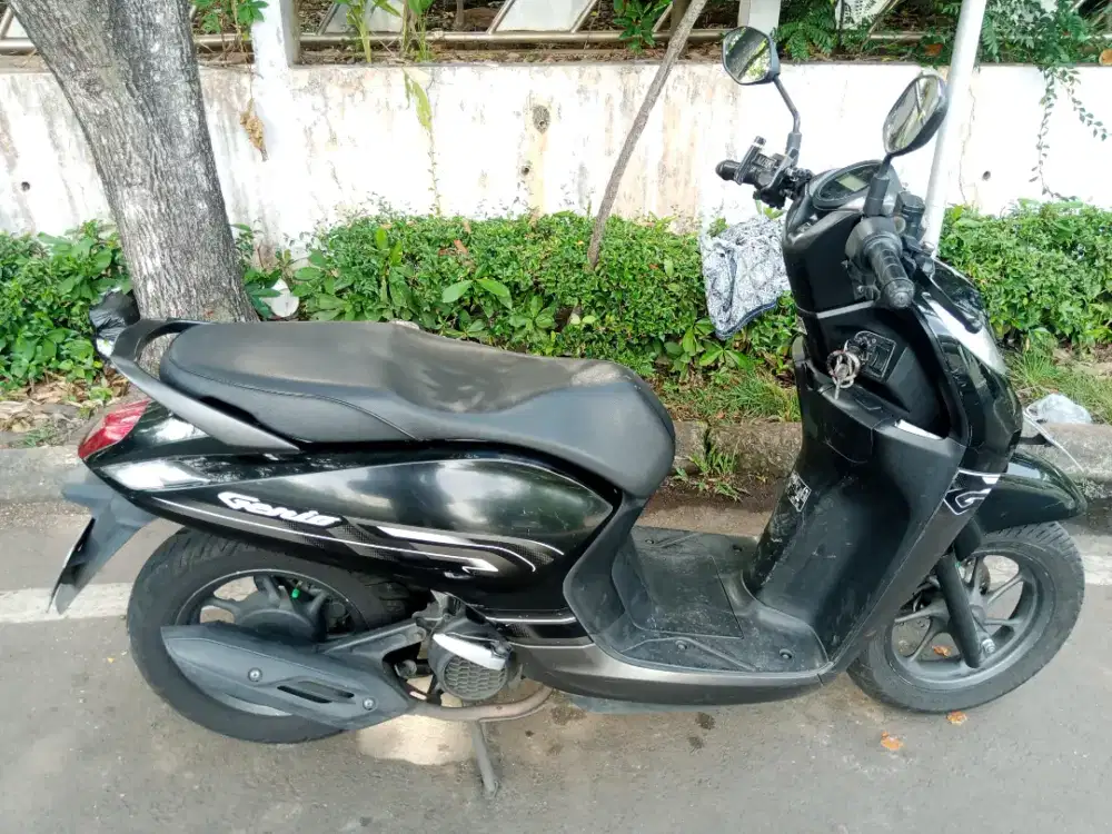 Honda Genio CBS 2022